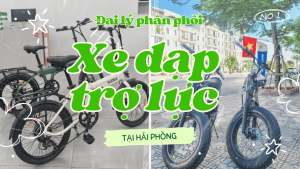 Đại lý phân phối xe đạp trợ lực tại Hải Phòng