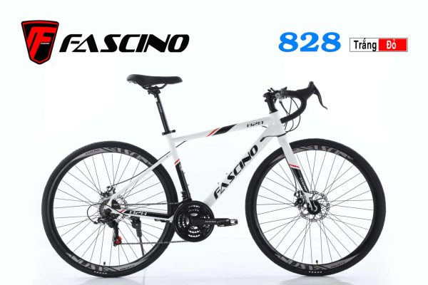 Xe đạp đua FASCINO 828_ Khung Nhôm_ Groupset