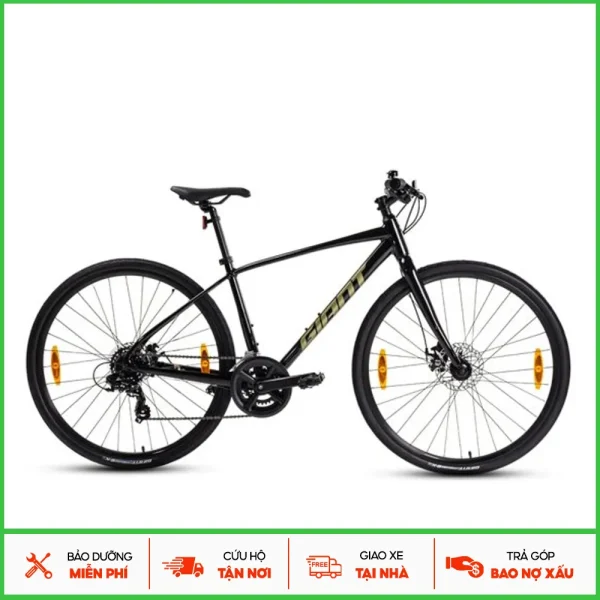 Xe Đạp Đường Phố Giant Escape 3 Disc - Phanh đĩa, Bánh 700C - 2024