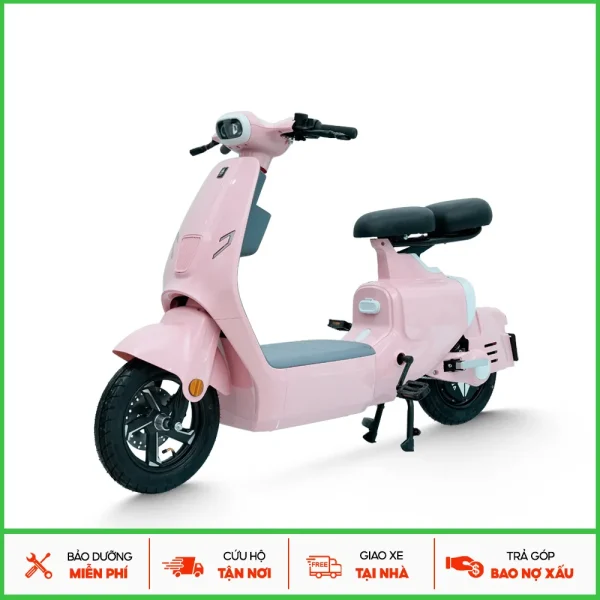 Xe điện VC 2025