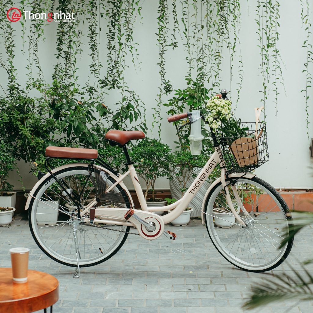 Cửa hàng xe đạp Thống Nhất tại An Dương, Hải Phòng