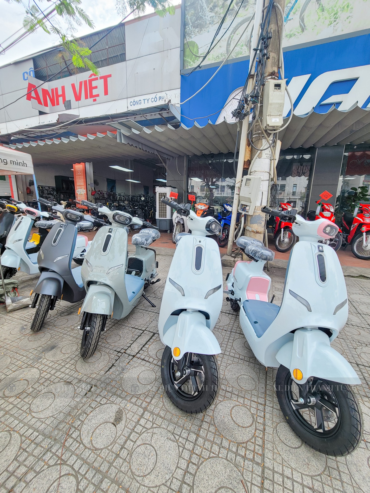 Xe điện học sinh cấp 3 VC Elyas 6
