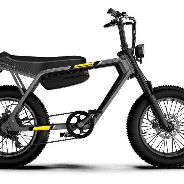 Xe đạp điện Vinfast DrgnFly