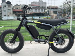 xe đạp điện VinFast DrgnFly