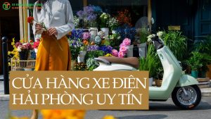 Hệ thống Thanh Tùng là chuỗi cửa hàng xe điện Hải Phòng uy tín với dịch vụ chăm sóc khách hàng trọn vẹn