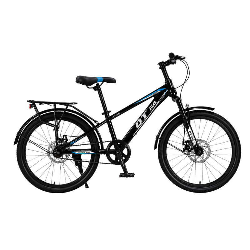 Xe đạp địa hình QT120