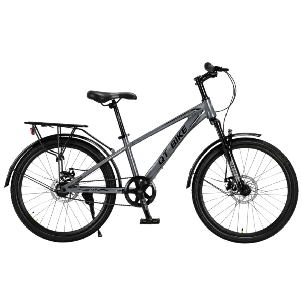 Xe đạp địa hình QT120