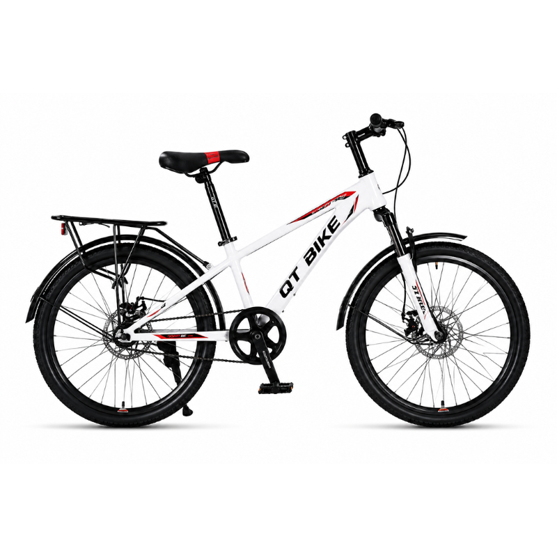 Xe đạp địa hình QT120