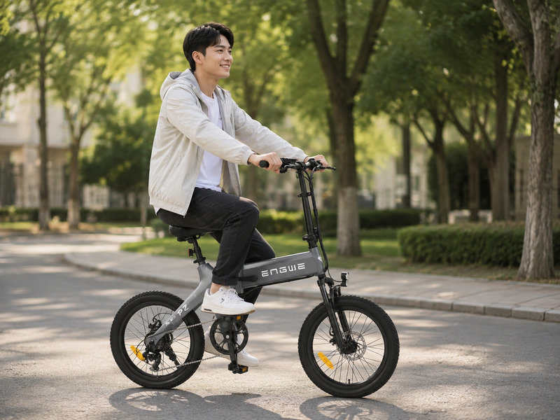 xe đạp trợ lực