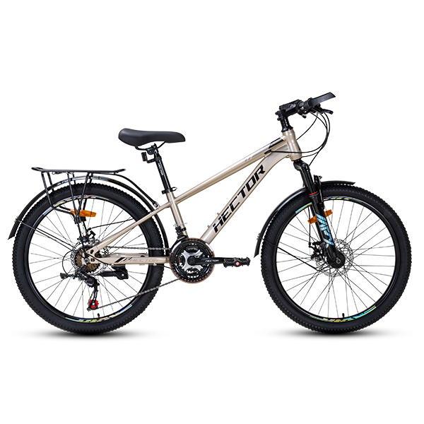 MTB Hector Apollo 1 26 inch