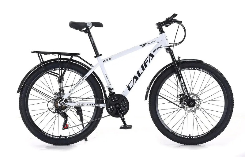 xe đạp 100 triệu