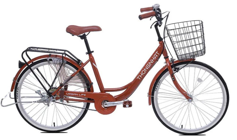 xe đạp cho học sinh cấp 2