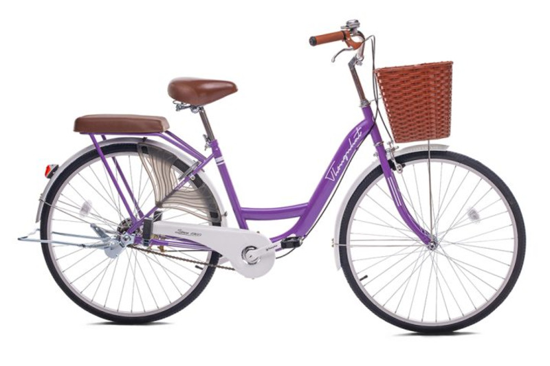xe đạp cho học sinh cấp 3