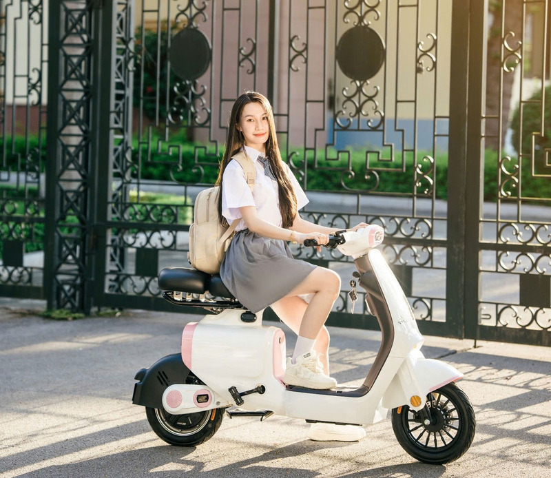 Xe đạp điện hãng nào tốt