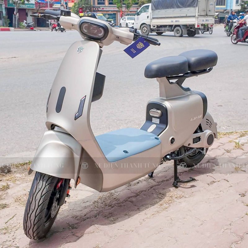 Xe đạp điện không có bàn đạp