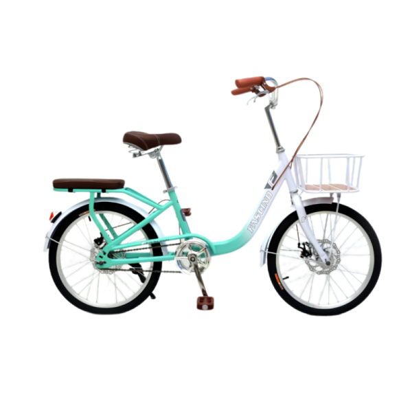 Xe đạp Fascino FCD22 Xanh trắng