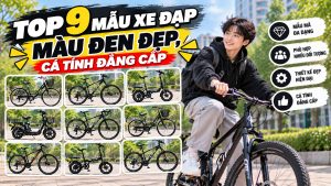 xe đạp màu đen