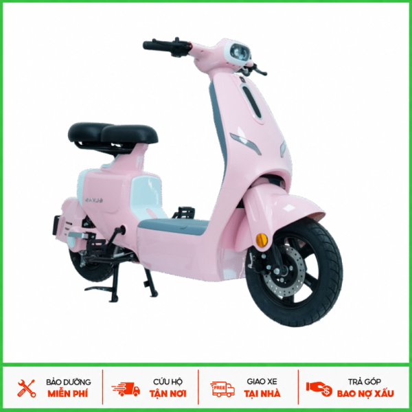 Xe điện Ally Elyas 6