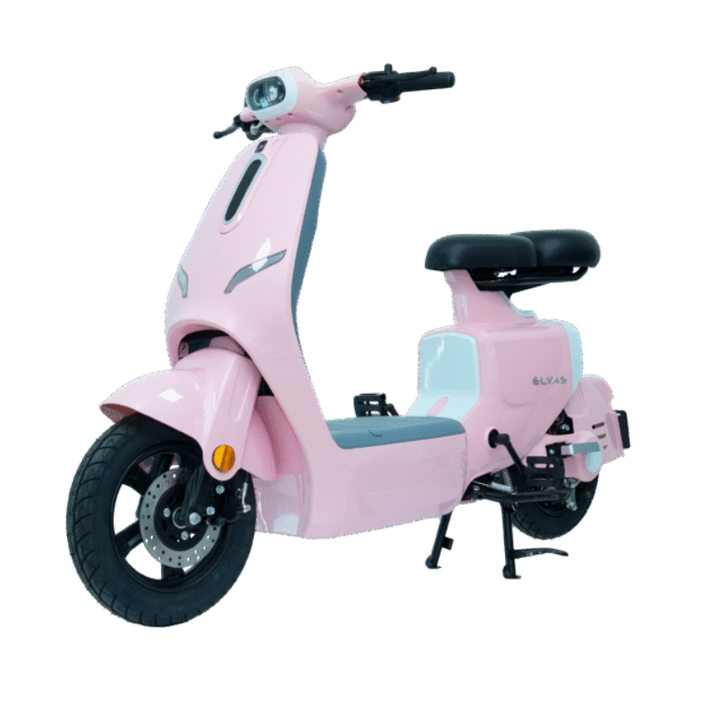 Xe điện Ally Elyas 6