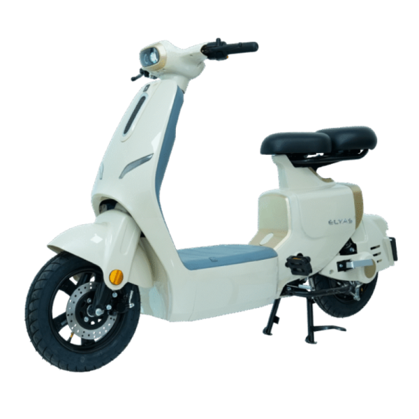 Xe điện Ally Elyas 6