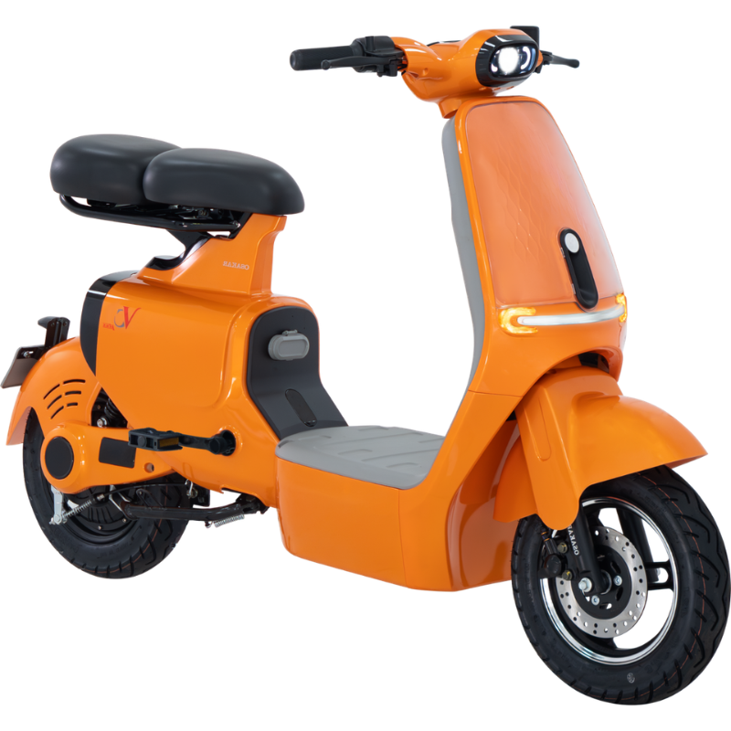 Xe điện Osakar VC Plus - Ảnh 2