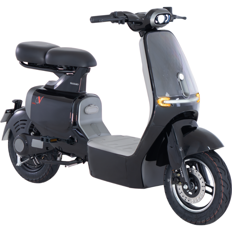 Xe điện Osakar VC Plus - Ảnh 9