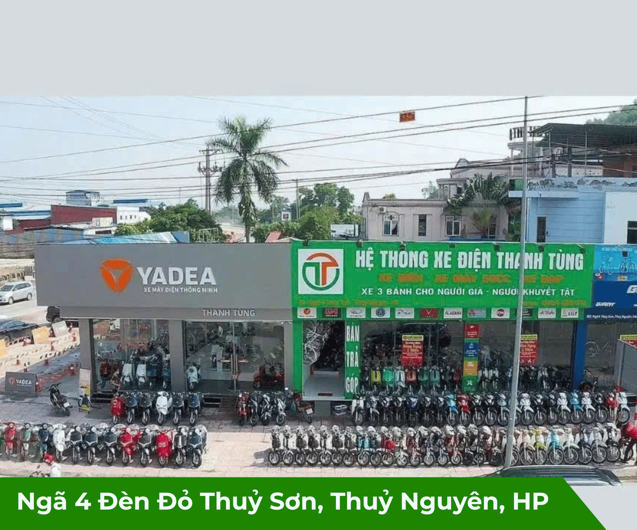 Xe điện Thanh Tùng Thủy Nguyên