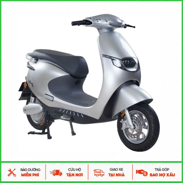 Xe máy điện TAILG R53