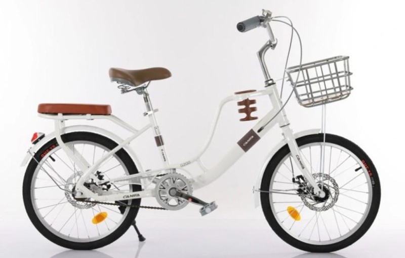 xe đạp 20 inch