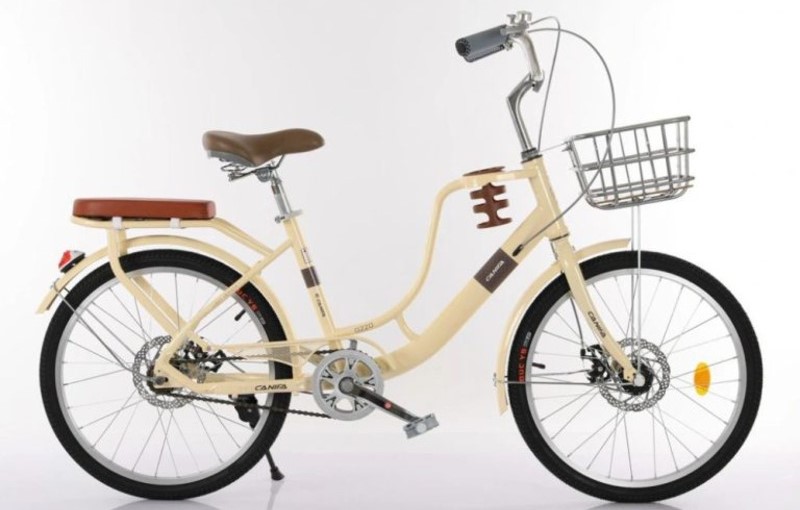 xe đạp 20 inch