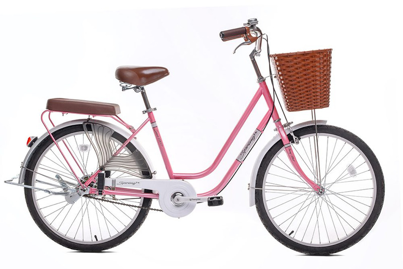 Xe đạp 24 inch
