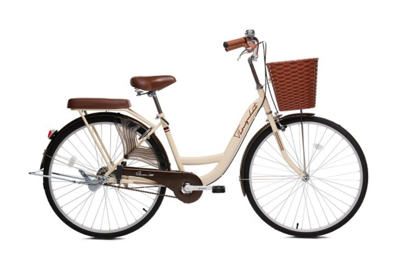 Xe đạp 26 inch