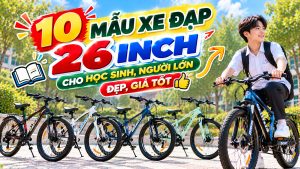 Xe đạp 26 inch
