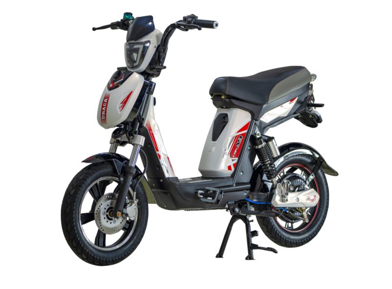 Xe Đạp Điện 2 Bình