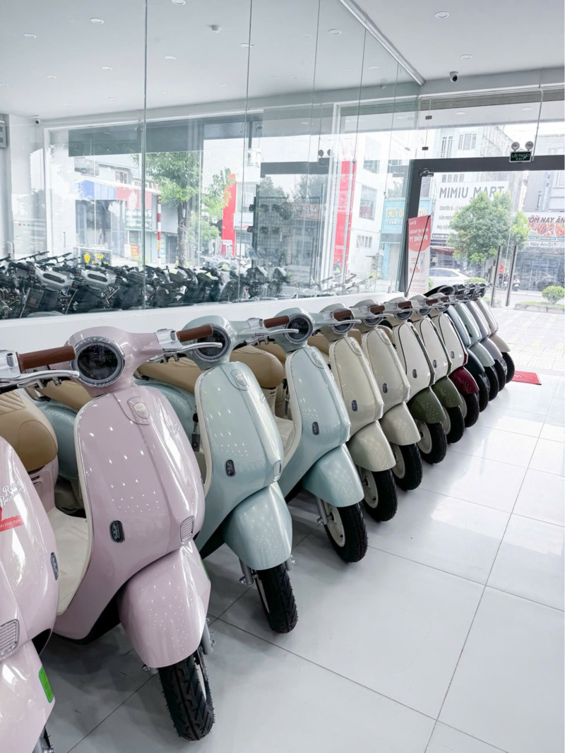 Xe Đạp Điện 2 Bình