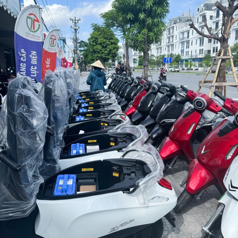 xe đạp điện 4 bình