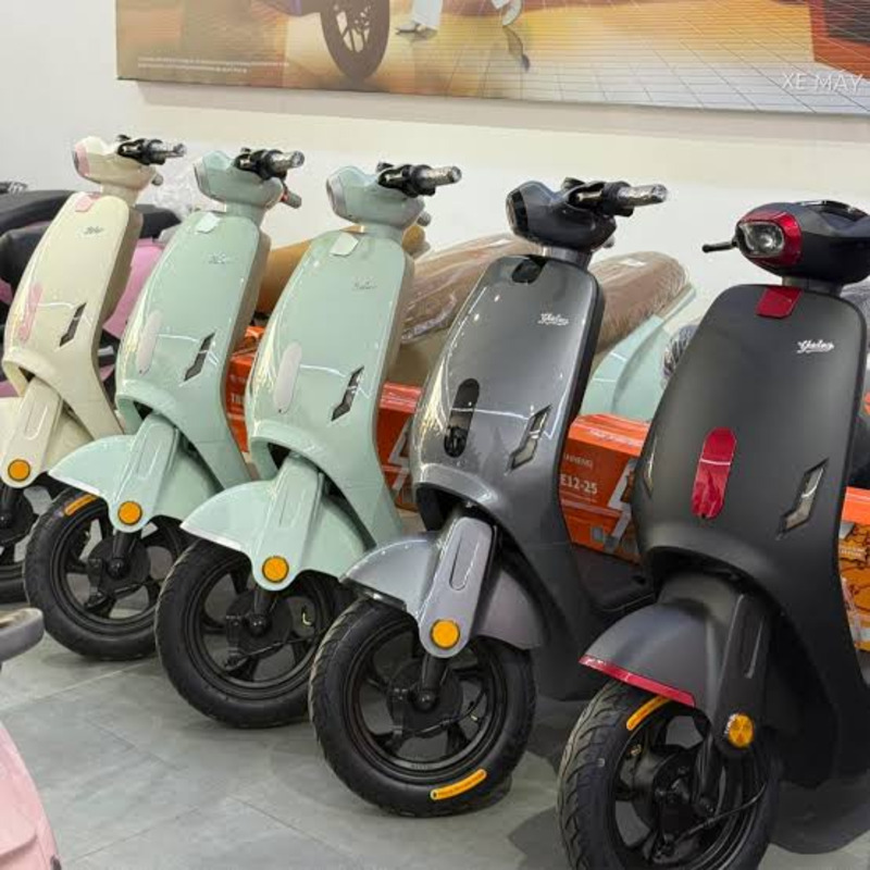 xe đạp điện 4 bình