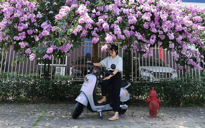 xe đạp điện 4 bình