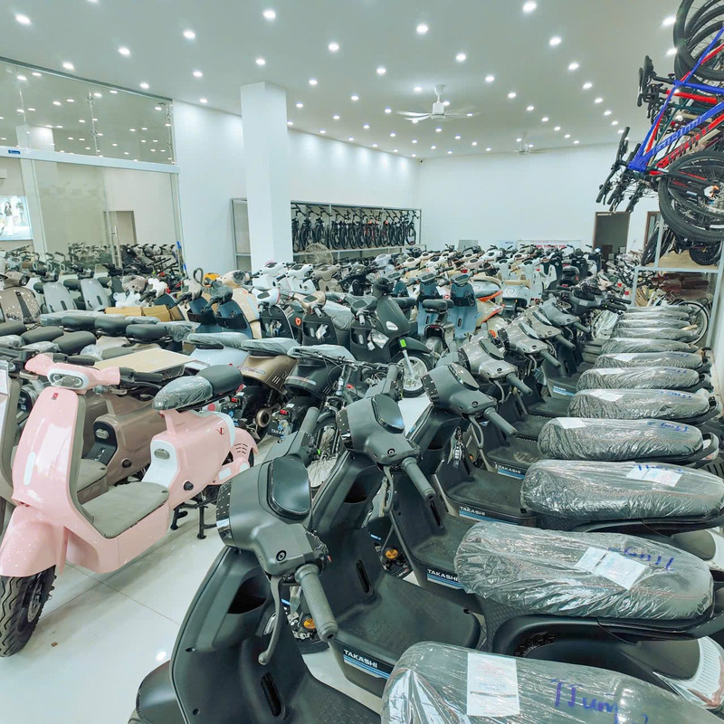 xe đạp điện 6 bình