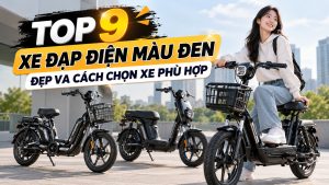 xe đạp điện màu đen