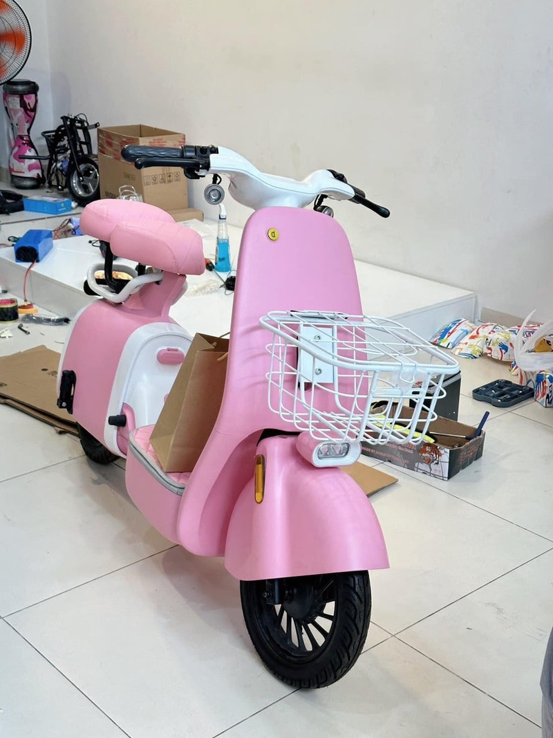 xe đạp điện màu hồng