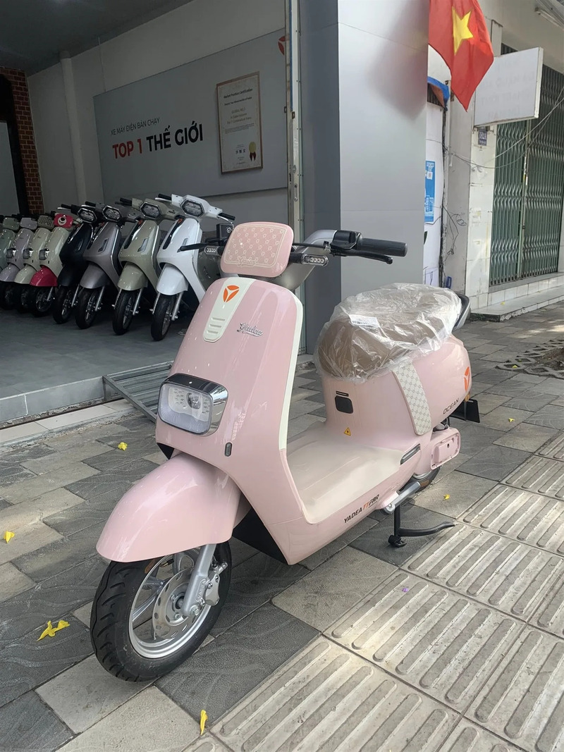 xe đạp điện màu hồng