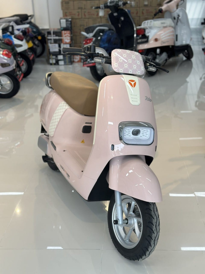xe đạp điện màu hồng