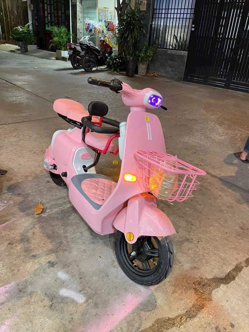 xe đạp điện màu hồng