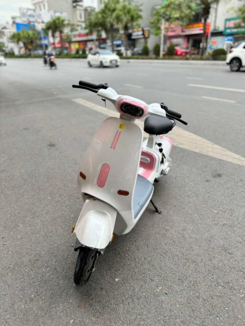 xe đạp điện màu trắng