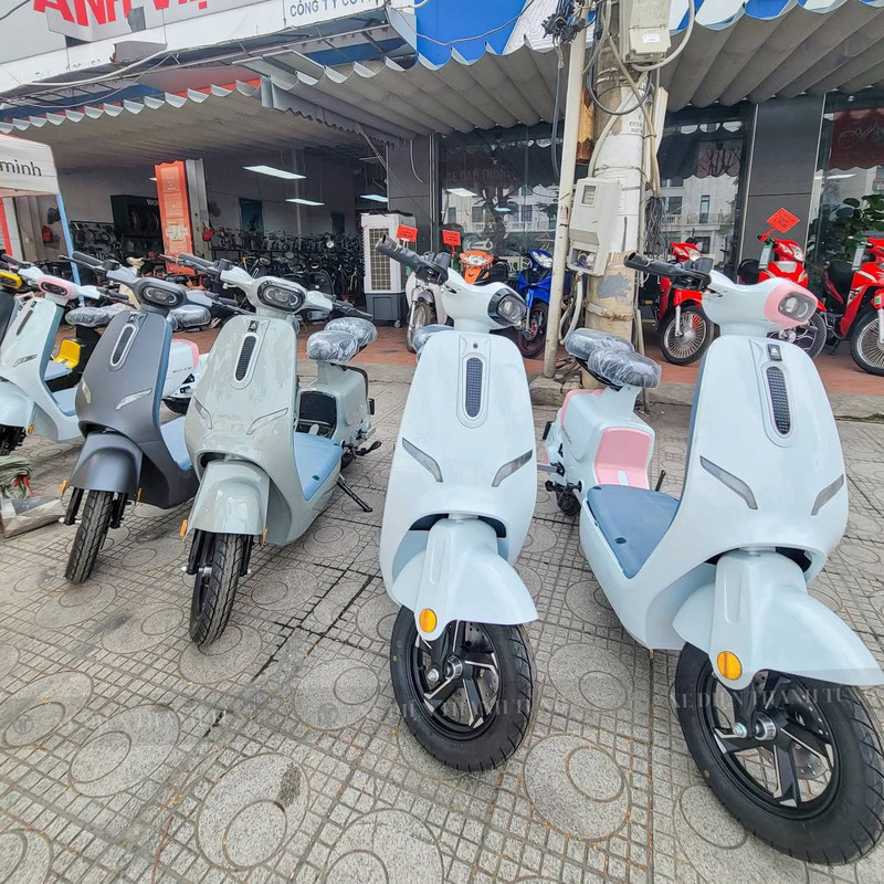 xe điện 10 triệu