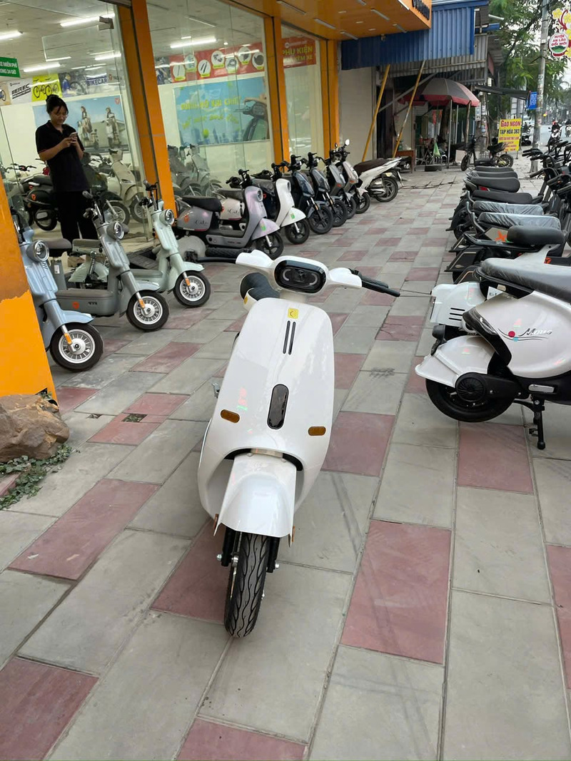 xe điện 10 triệu