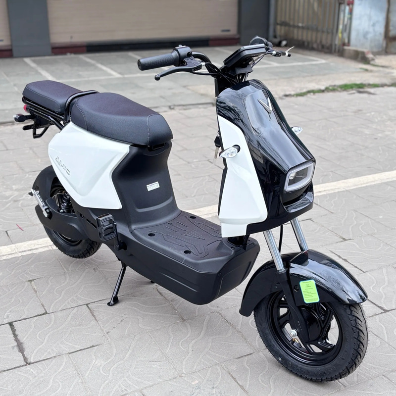 xe điện 10 triệu