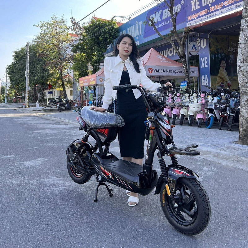 xe điện 10 triệu