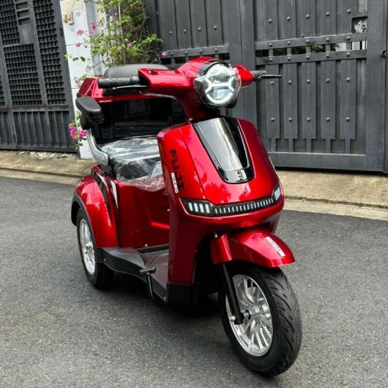 xe điện cho người lớn tuổi